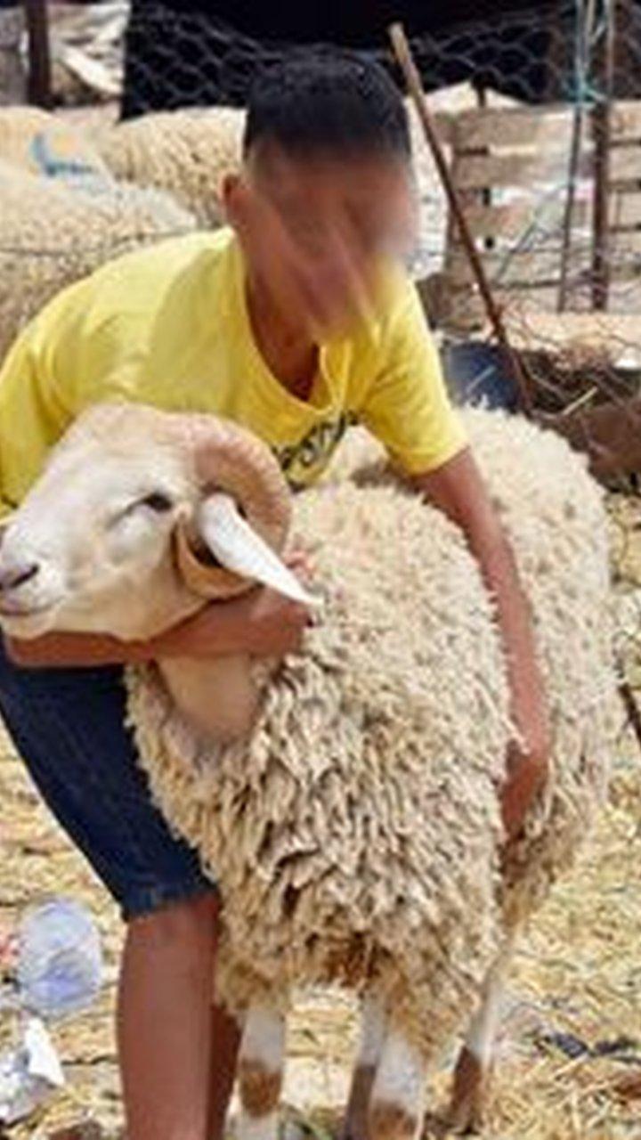 Béja à table: Le ftet à l’agneau et au romarin, star de l’Aïd El-Adha [Photos+Vidéo]