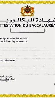 Élections au Comité des Services Sociaux : Annonce du Ministère de l'Éducation